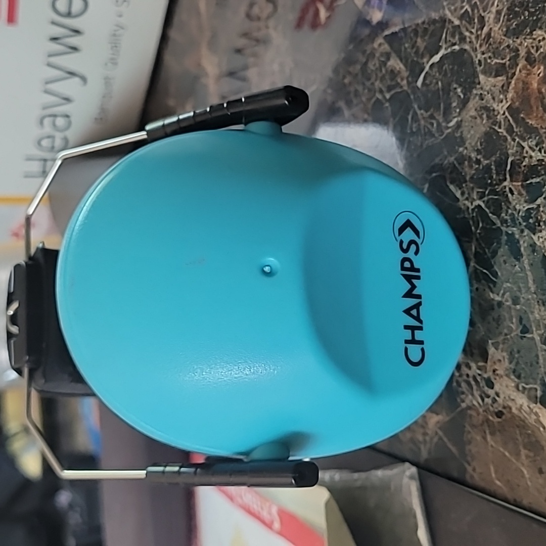 Champs Noise Canceling Headphones